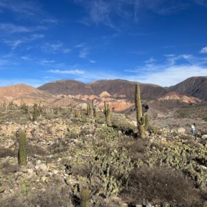 Jantar | Pelas quebradas de Salta e Jujuy